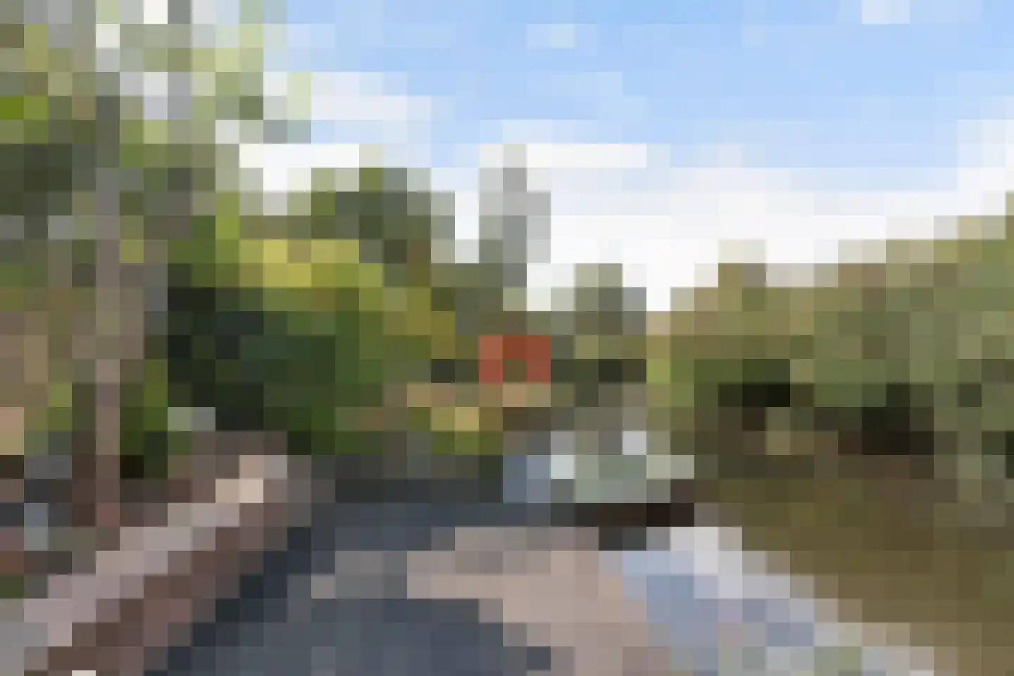 Iroko 207 Dordrecht thumbnail 26