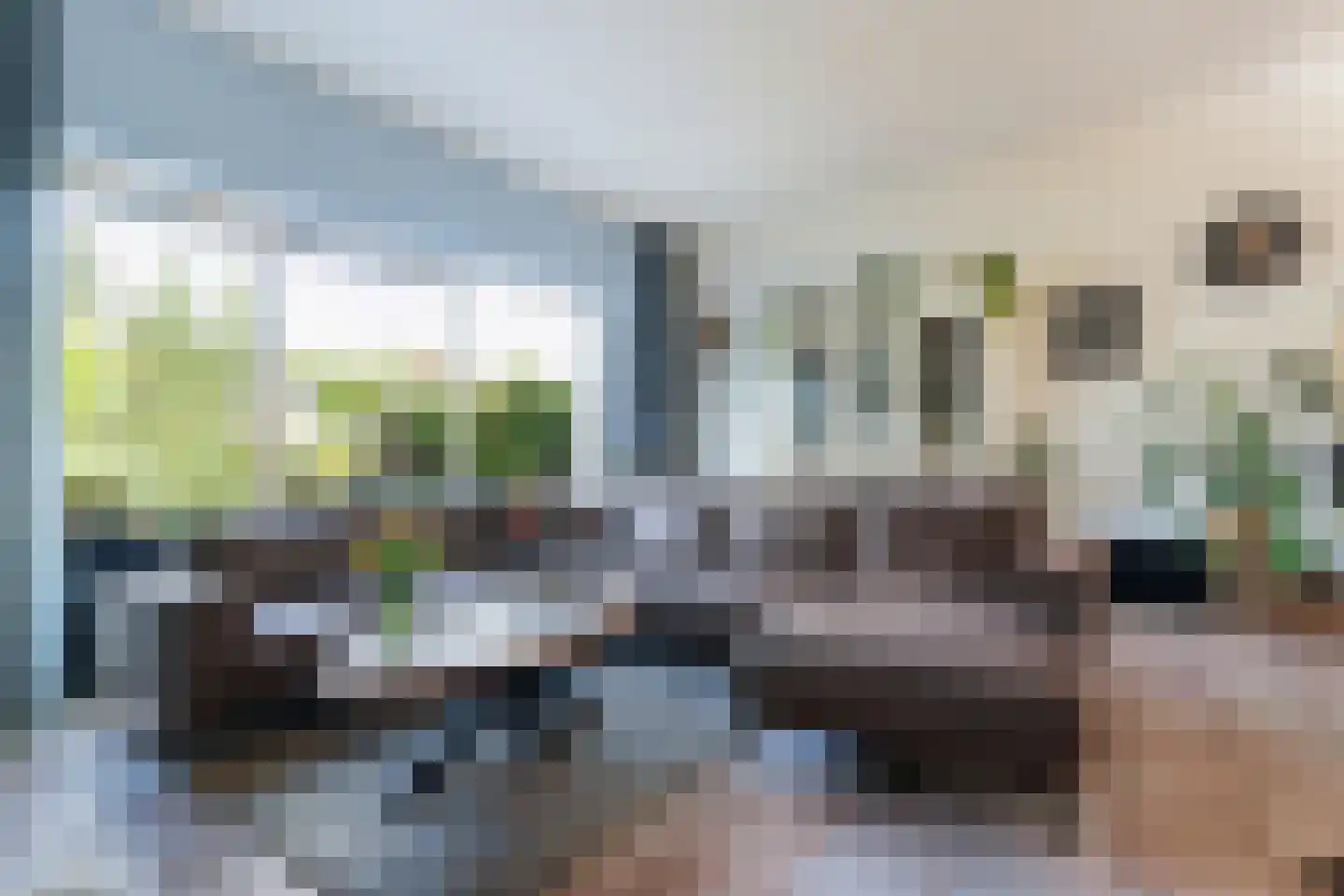 Iroko 207 Dordrecht thumbnail 5