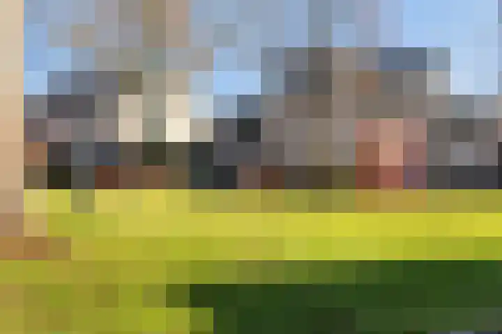 Iroko 267 Dordrecht thumbnail 44
