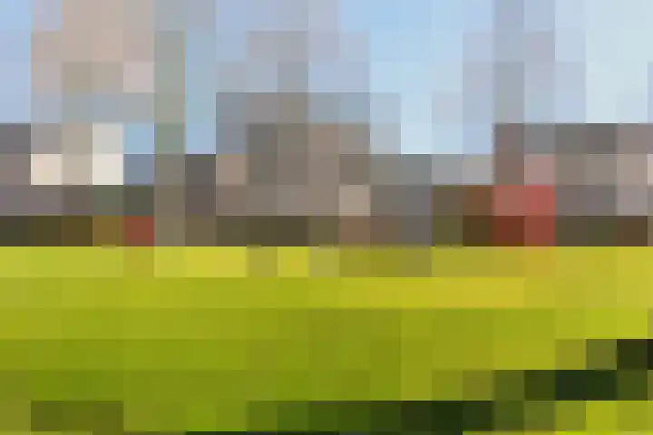 Iroko 267 Dordrecht thumbnail 45