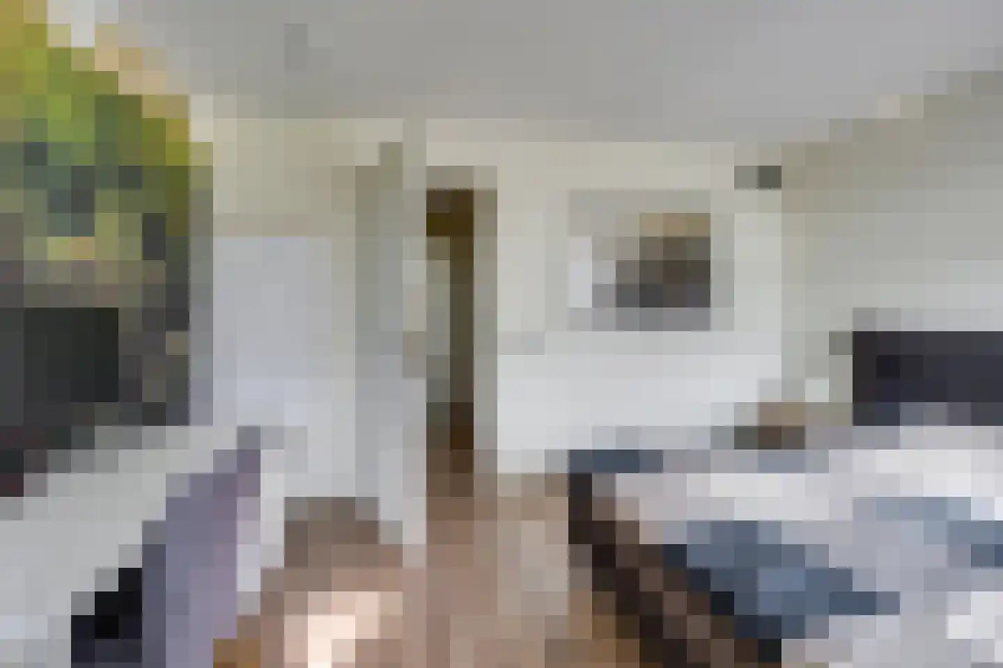 Iroko 296 Dordrecht thumbnail 33