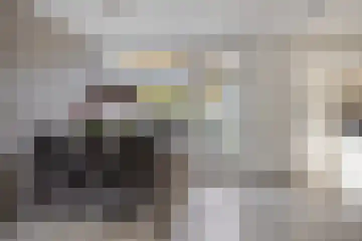 Is. Sweersstraat 11 Hengelo thumbnail 11