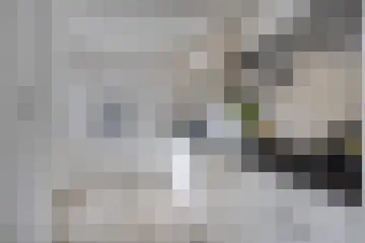 Is. Sweersstraat 11 Hengelo thumbnail 14