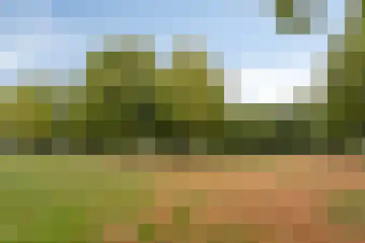 Is. Sweersstraat 11 Hengelo thumbnail 34