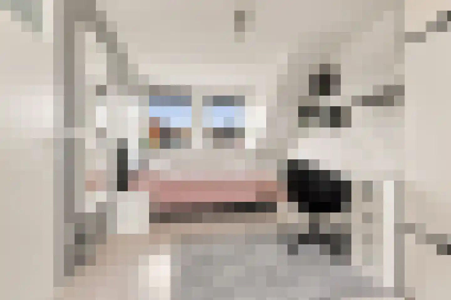 Isa van Eeghenlaan 3 Beverwijk thumbnail 26
