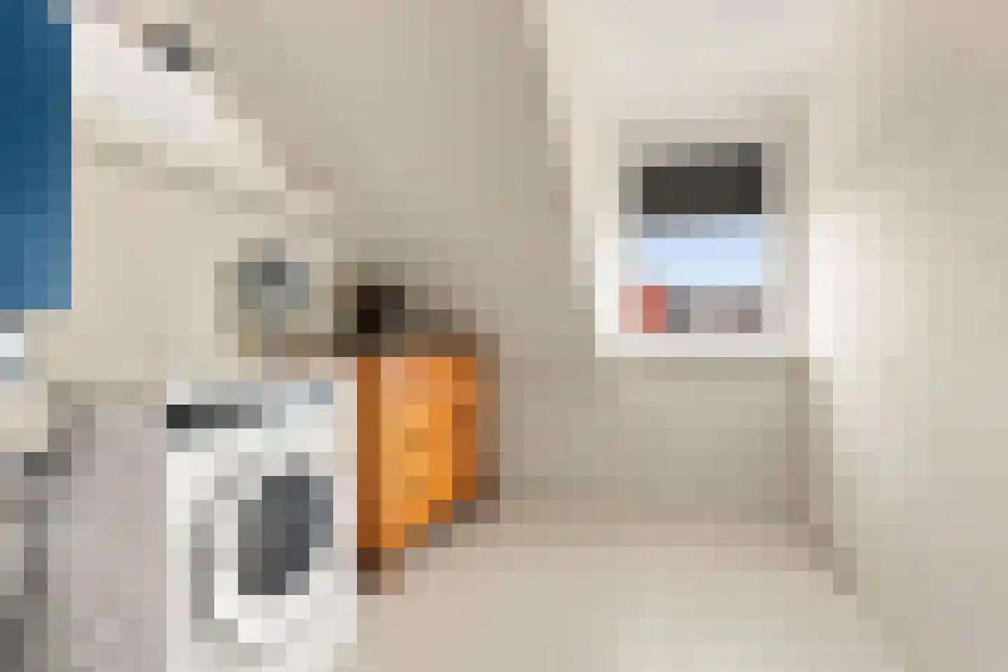 Isa van Eeghenlaan 3 Beverwijk thumbnail 29