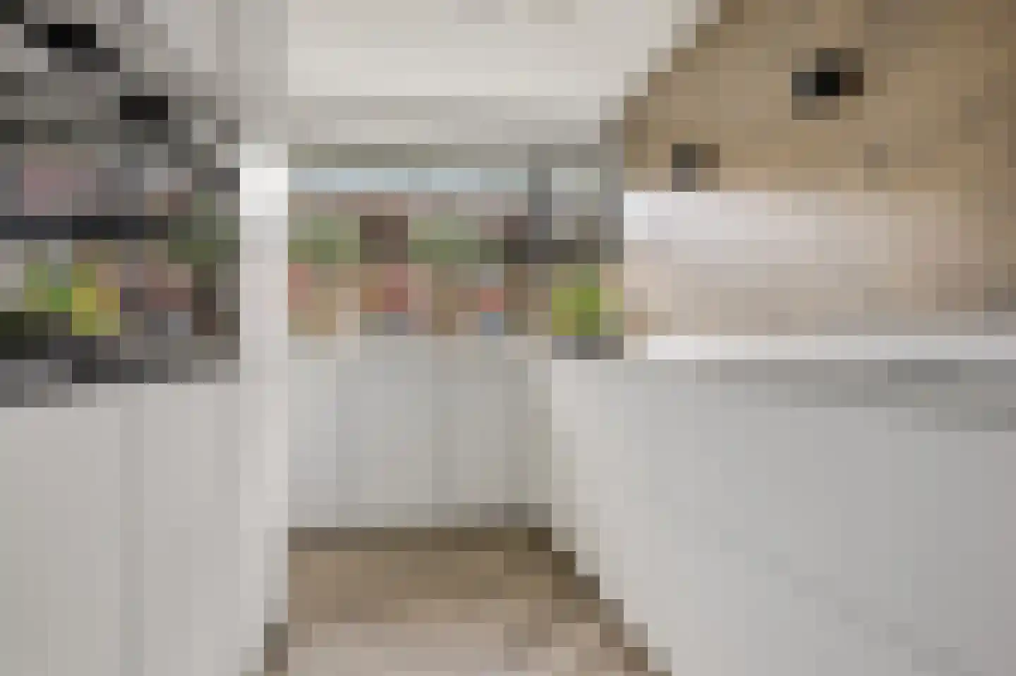Isa van Eeghenlaan 7 Beverwijk thumbnail 14