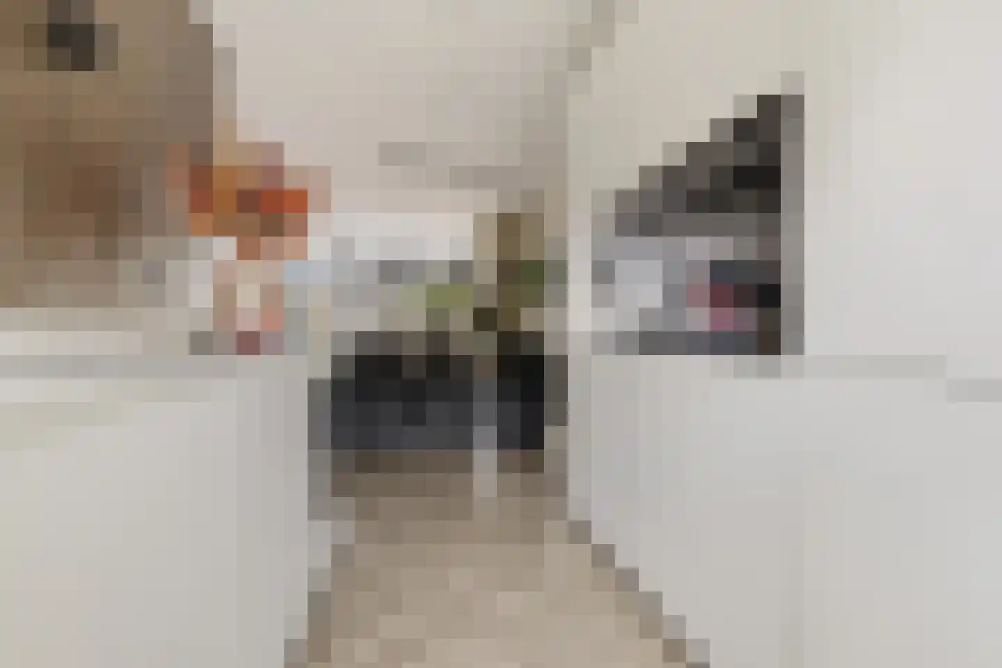 Isa van Eeghenlaan 7 Beverwijk thumbnail 16
