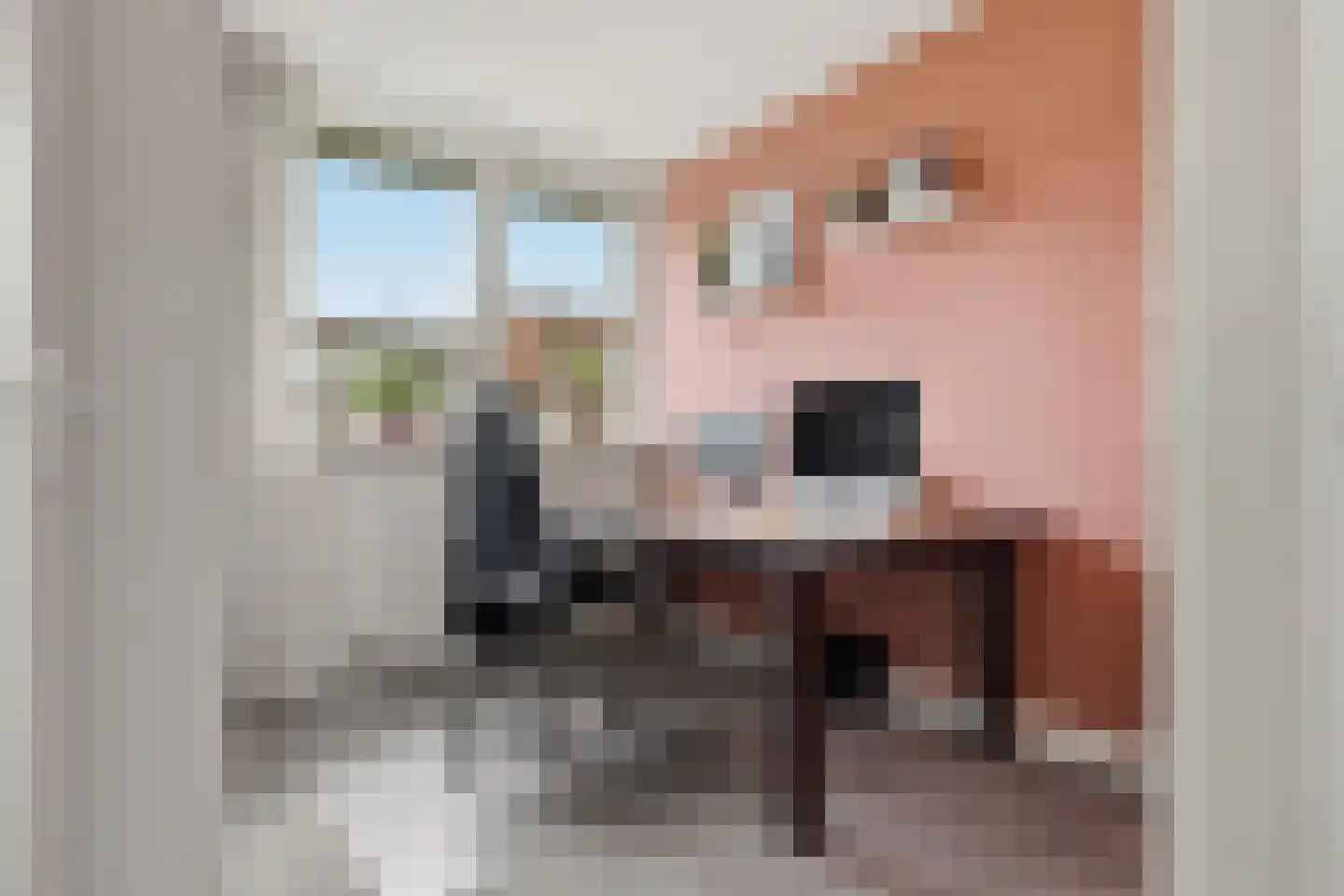 Isa van Eeghenlaan 7 Beverwijk thumbnail 32
