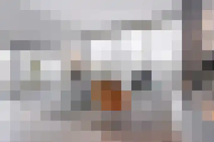 Isaac Beeckmanstraat 6 Middelburg thumbnail 11