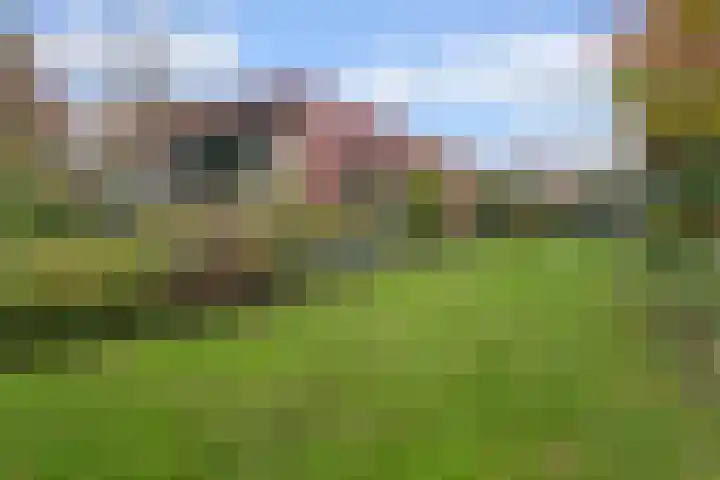 Isaac Beeckmanstraat 6 Middelburg thumbnail 38