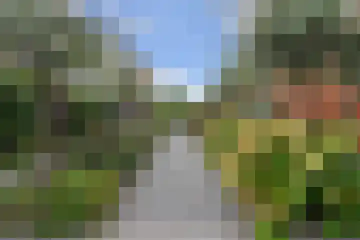 Isaac Beeckmanstraat 6 Middelburg thumbnail 39