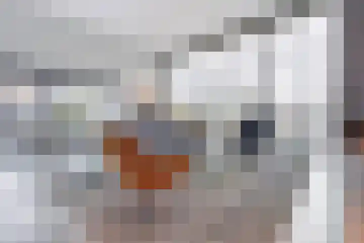 Isaac Beeckmanstraat 6 Middelburg thumbnail 9