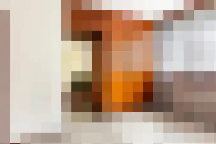 Isaac Beekmanstraat 12 Wijchen thumbnail 13