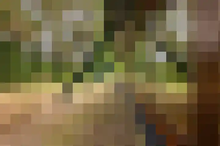Isaac Beekmanstraat 12 Wijchen thumbnail 23