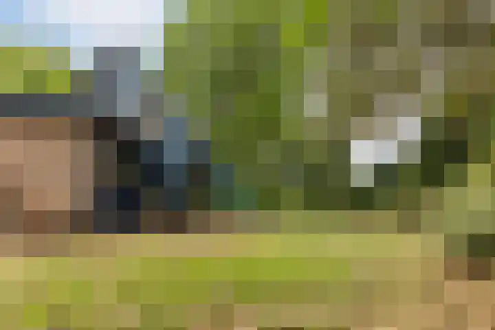 Isaac Beekmanstraat 12 Wijchen thumbnail 26