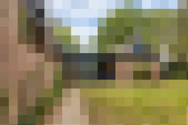 Isaac Beekmanstraat 12 Wijchen thumbnail 27