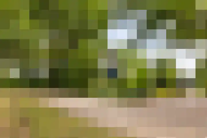 Isaac Beekmanstraat 12 Wijchen thumbnail 30