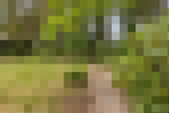 Isaac Beekmanstraat 12 Wijchen thumbnail 35