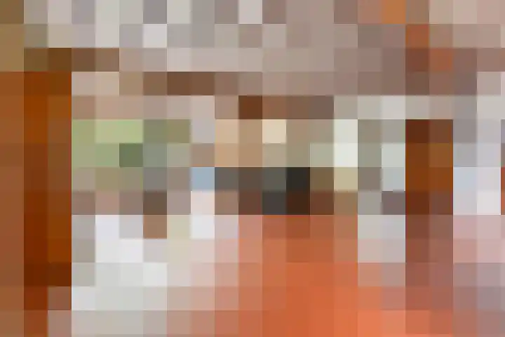 Isaac Beekmanstraat 12 Wijchen thumbnail 8