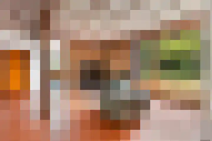 Isaac Beekmanstraat 12 Wijchen thumbnail 9