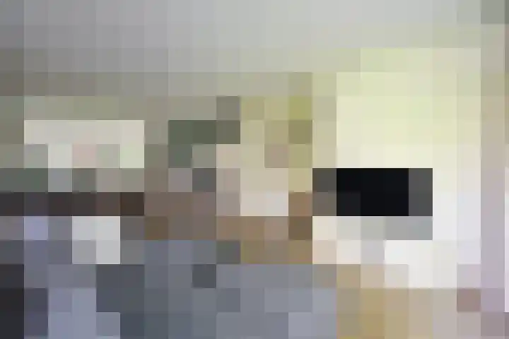 Isaäc da Costalaan 11 Bussum thumbnail 11