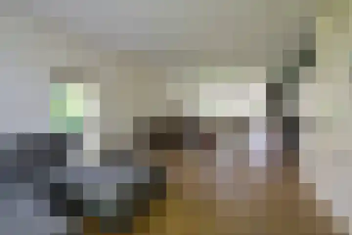 Isaäc da Costalaan 11 Bussum thumbnail 12