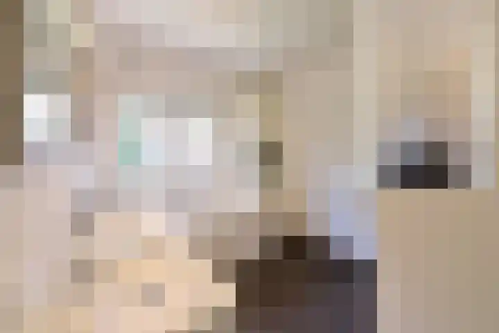 Isaäc da Costalaan 11 Bussum thumbnail 23