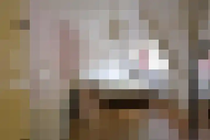 Isaäc da Costalaan 11 Bussum thumbnail 28