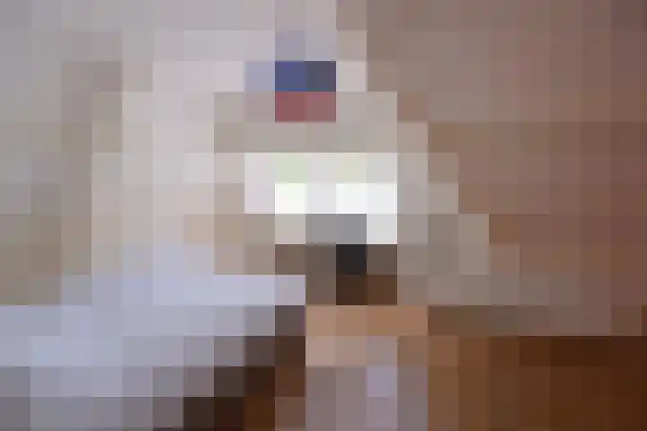 Isaäc da Costalaan 11 Bussum thumbnail 29