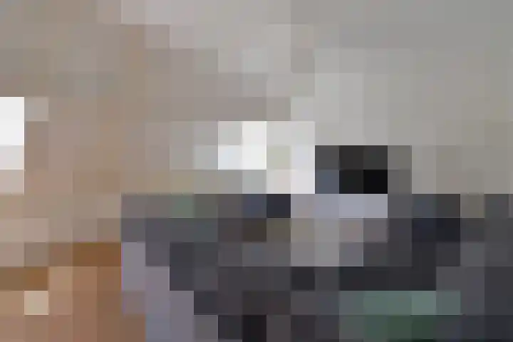 Isaäc da Costalaan 11 Bussum thumbnail 32