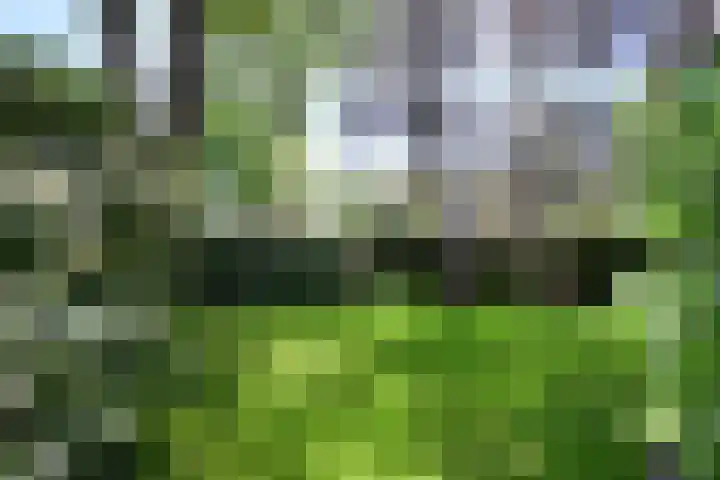 Isaäc da Costalaan 11 Bussum thumbnail 33