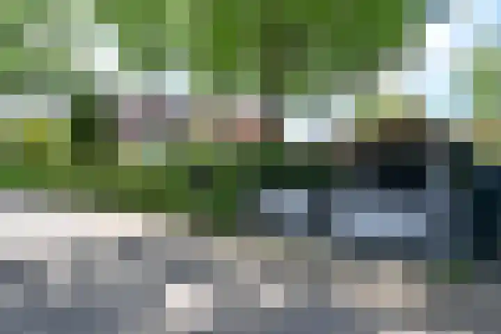 Isaäc da Costalaan 11 Bussum thumbnail 34