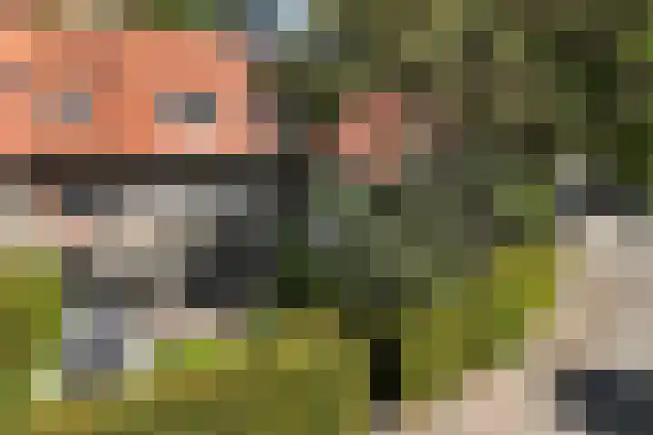 Isaäc da Costalaan 11 Bussum thumbnail 36