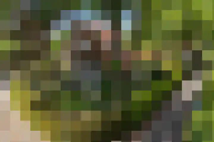Isaäc da Costalaan 11 Bussum thumbnail 37