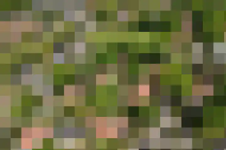 Isaäc da Costalaan 11 Bussum thumbnail 38