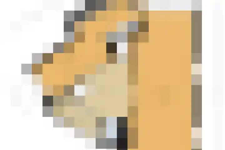 Isaäc da Costalaan 11 Bussum thumbnail 39