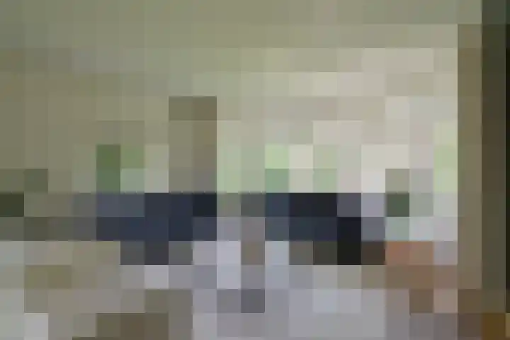 Isaäc da Costalaan 11 Bussum thumbnail 6