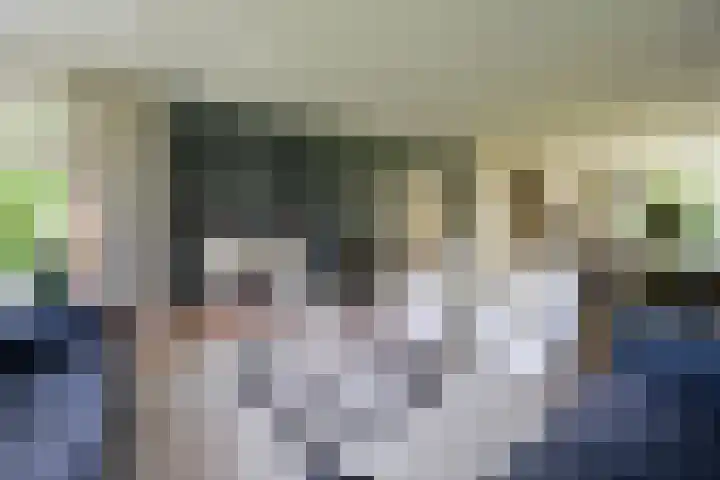 Isaäc da Costalaan 11 Bussum thumbnail 7