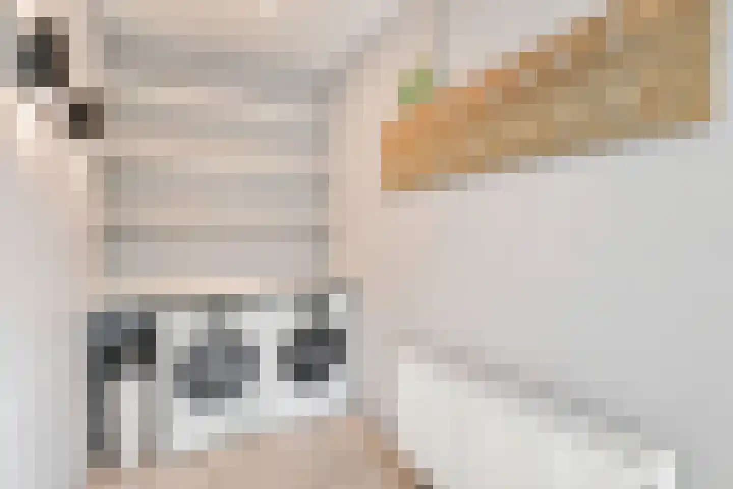 Isaäc da Costalaan 21 Bussum thumbnail 103