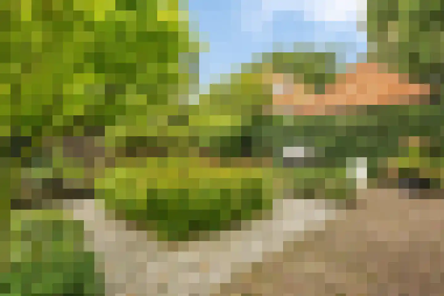 Isaäc da Costalaan 21 Bussum thumbnail 104