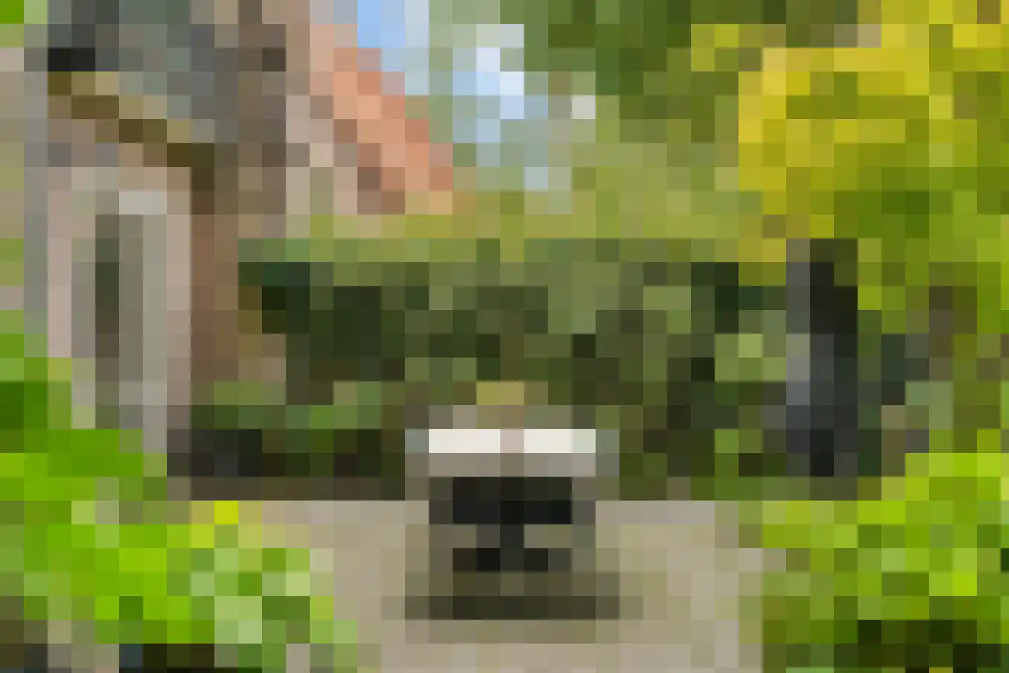 Isaäc da Costalaan 21 Bussum thumbnail 109