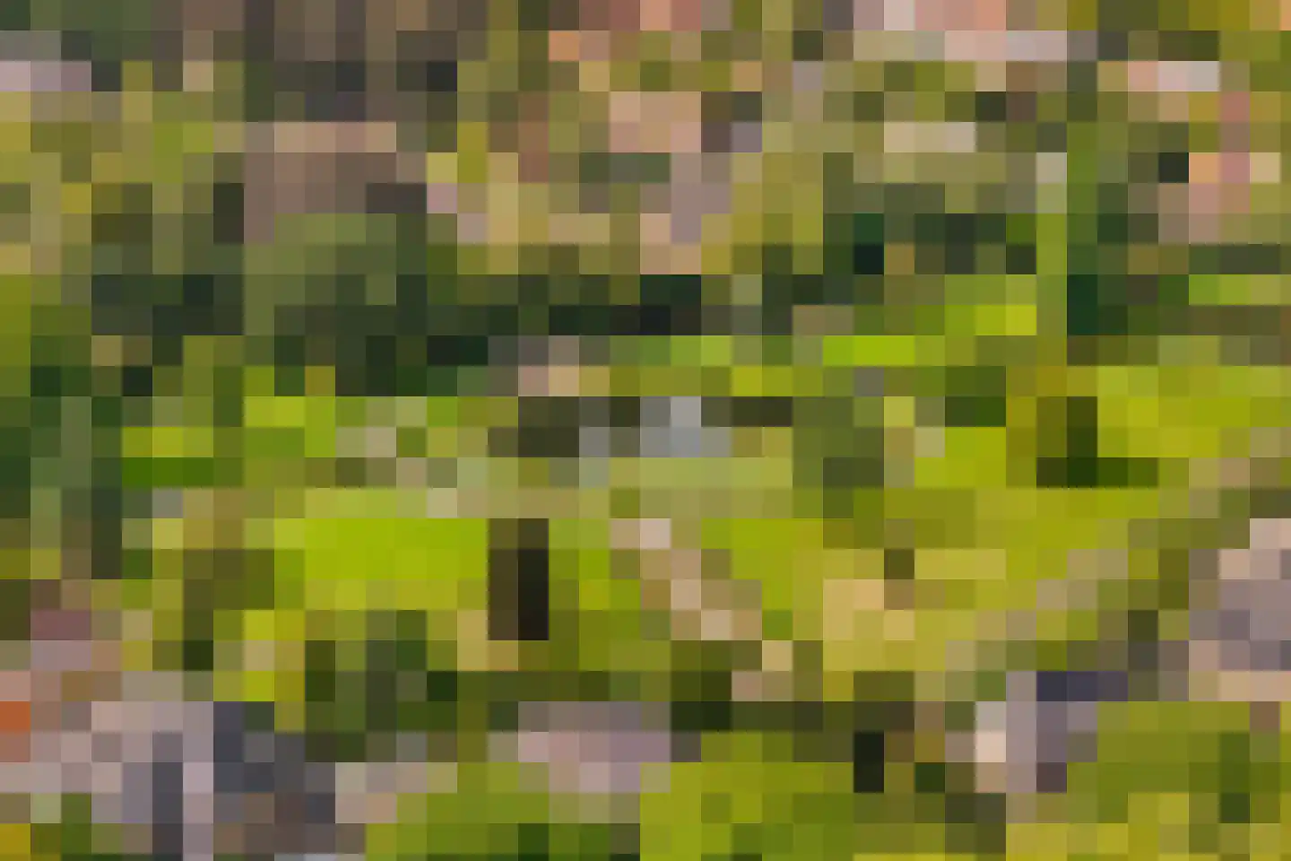Isaäc da Costalaan 21 Bussum thumbnail 11
