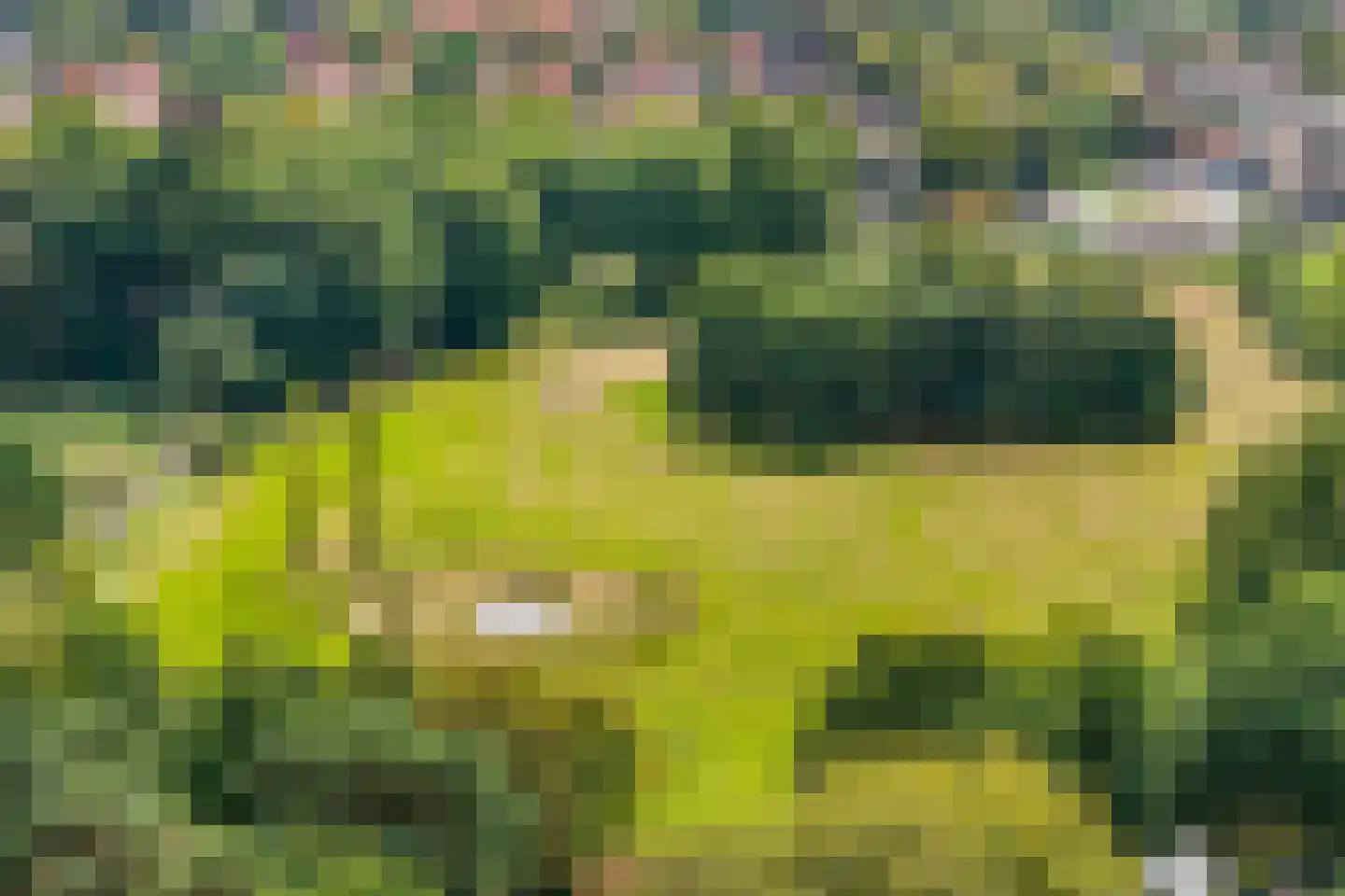 Isaäc da Costalaan 21 Bussum thumbnail 14