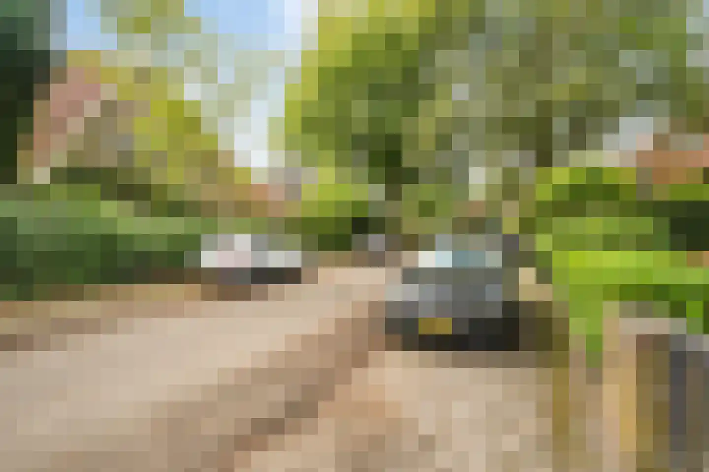 Isaäc da Costalaan 21 Bussum thumbnail 17