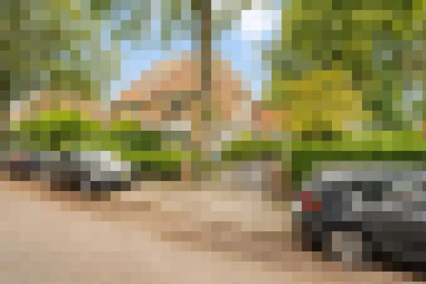 Isaäc da Costalaan 21 Bussum thumbnail 19
