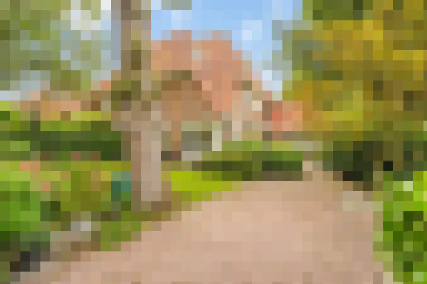 Isaäc da Costalaan 21 Bussum thumbnail 20
