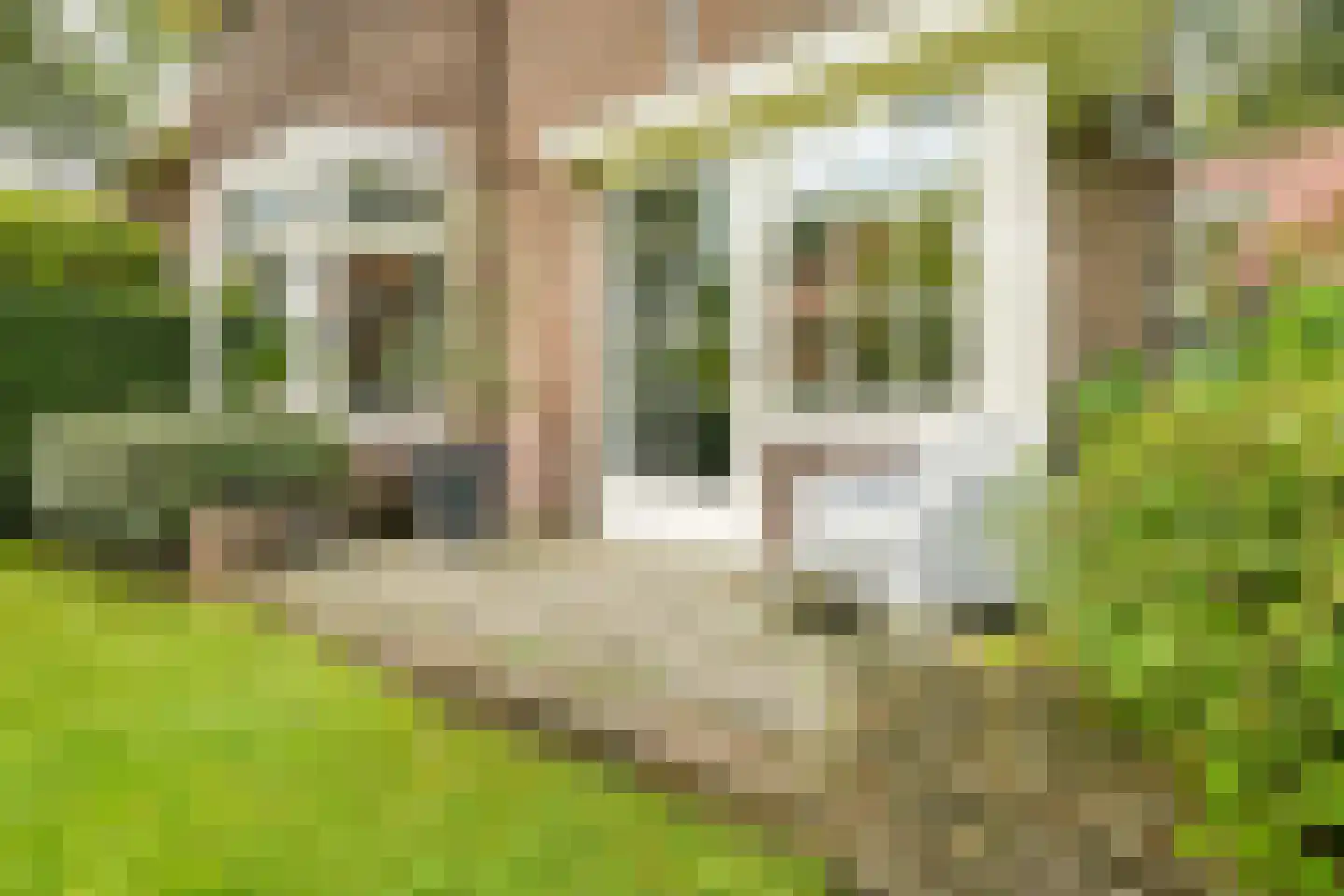 Isaäc da Costalaan 21 Bussum thumbnail 26