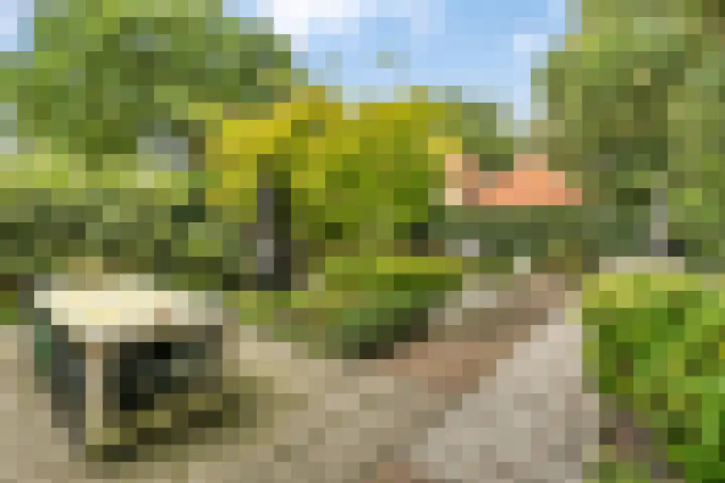Isaäc da Costalaan 21 Bussum thumbnail 29