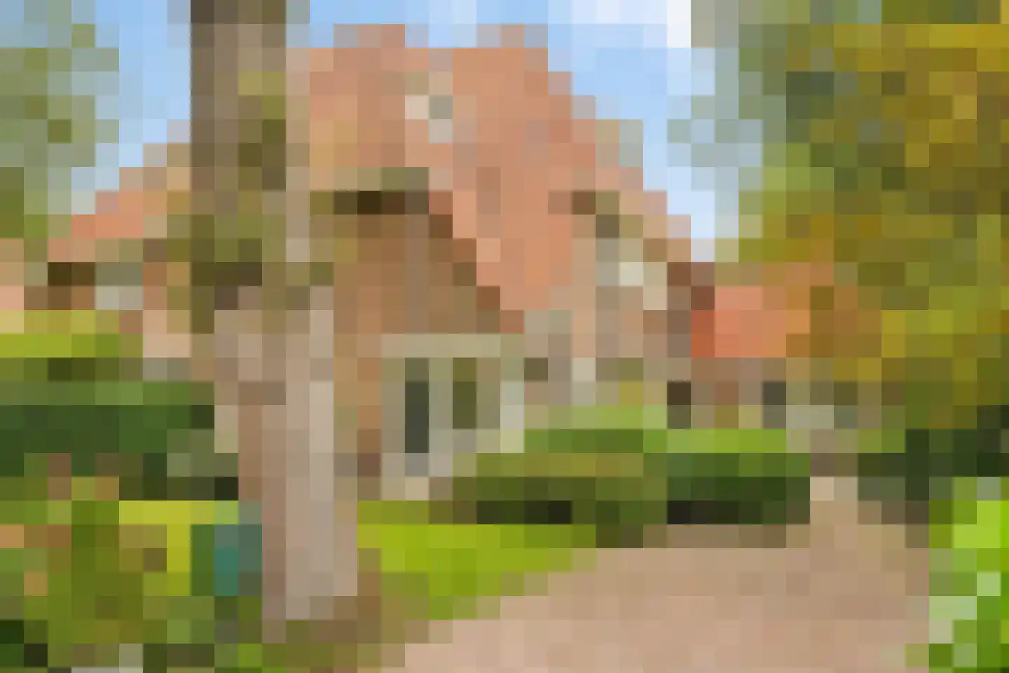 Isaäc da Costalaan 21 Bussum foto 3